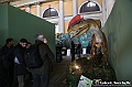 VBS_1028 - Dinosauri. Terra dei giganti